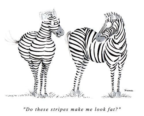 "Do these stripes make me look fat?"