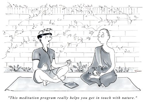 "This meditation program really helps you get in touch with nature."