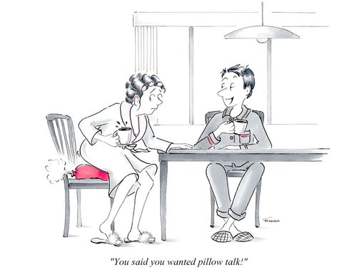 "You said you wanted pillow talk?"
