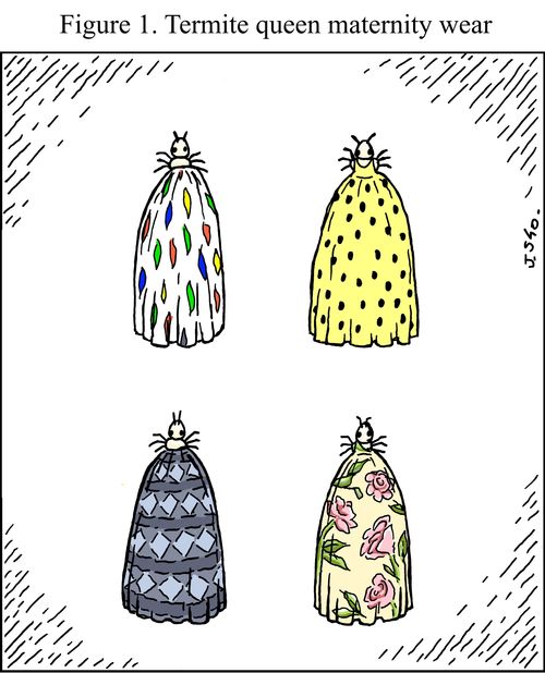 Figure 1. Termite queen maternity wear