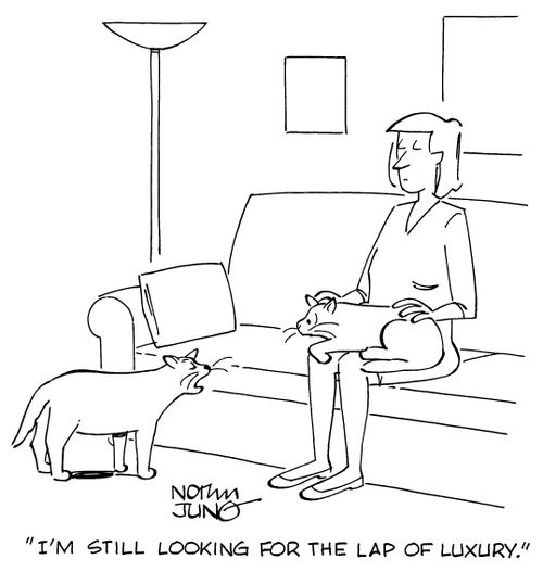 "I'm still looking for the lap of luxury."