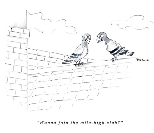 "Wanna join the mile-high club?"