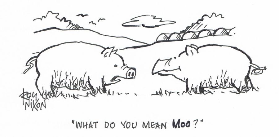"What do you mean MOO?"