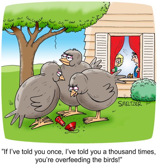 "If I've told you once, I've told you a thousand times, you're overfeeding the birds!"