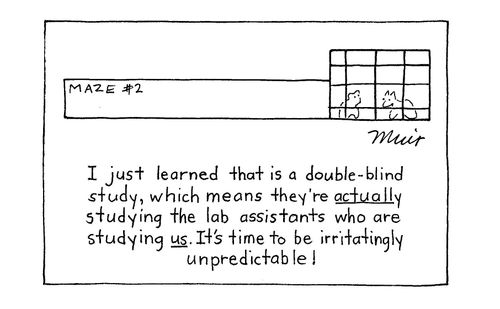 "I just learned that is a double-blind study, which means they're actually studying the lab assistants who are studying us. It's time to be irritatingly unpredictable!"
