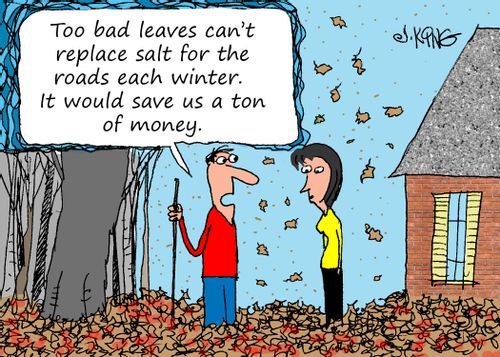 "Too bad leaves can't replace salt for the roads each winter. It would save us a ton of money."