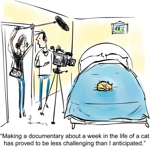 "Making a documentary about a week in the life of a cat has  proved to be less challenging than I anticipated."
