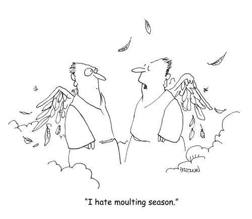 "I hate moulting season."