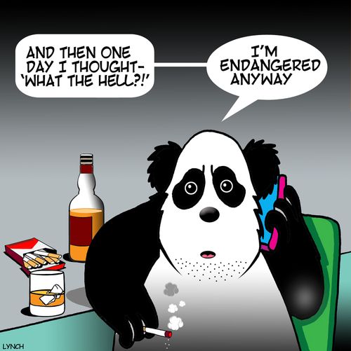 "And then one day I thought - 'what the hell?!'. . . I'm endangered anyway."