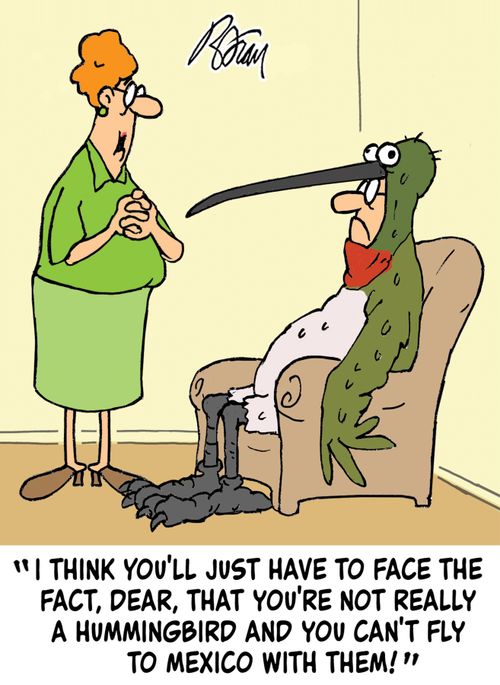 "I think you'll just have to face the fact, dear, that you're not really a Hummingbird and you can't fly to Mexico with them!"