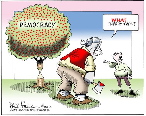"What Cherry tree?"
