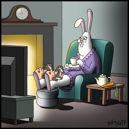 Bunny Slippers