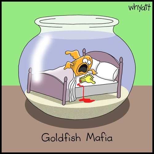 Goldfish Mafia
