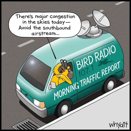 "There's major congestion in the skies today - Avoid the southbound airstream. . ."