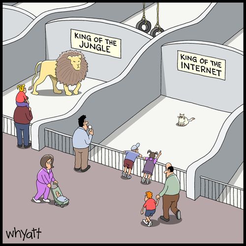 King Of The Jungle/King of the Internet