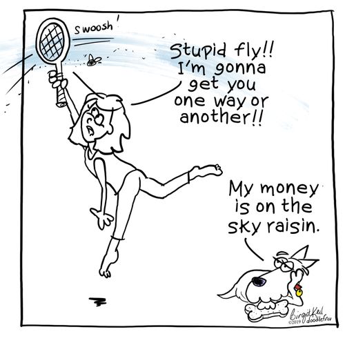 "Stupid Fly!! I'm gonna get you one way or another!!"