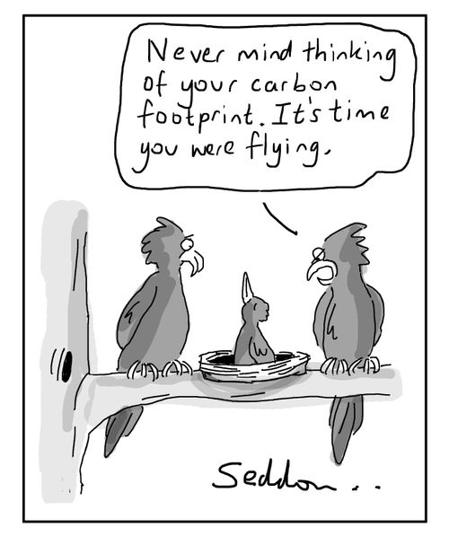 "Never mind thinking of your carbon footprint. It's time you were flying."