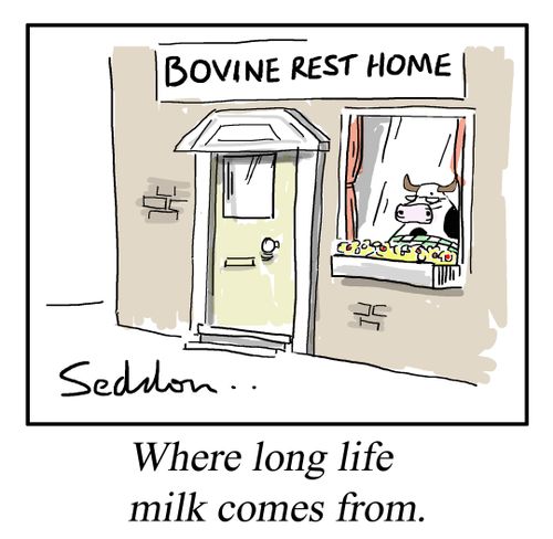 Where long life milk comes from.