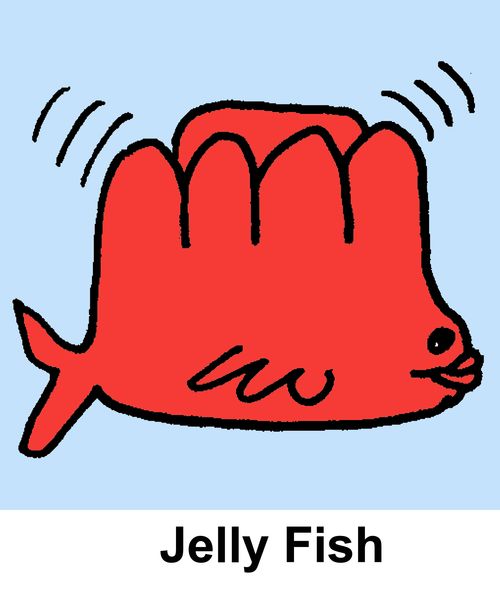 Jelly Fish
