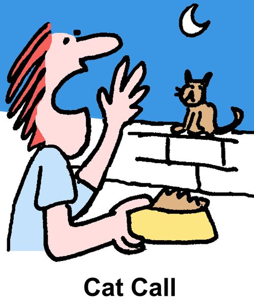 Cat Call