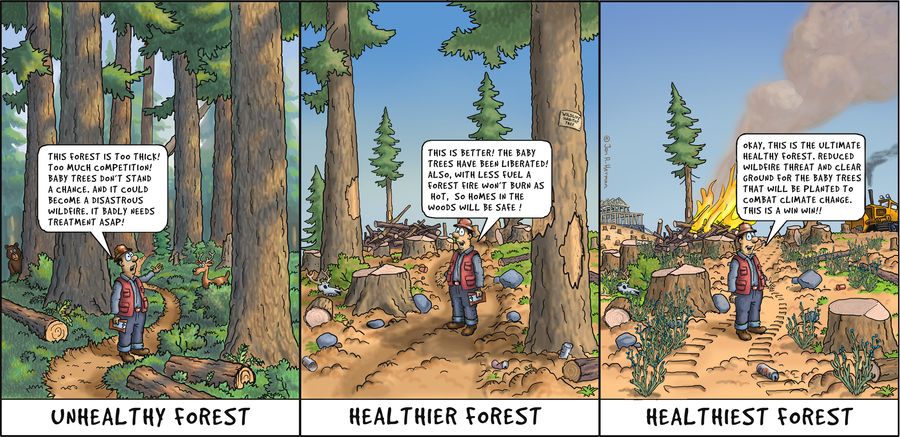 Healthiest Forest Ever!