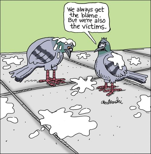 "We always get the blame. But we're also the victims."