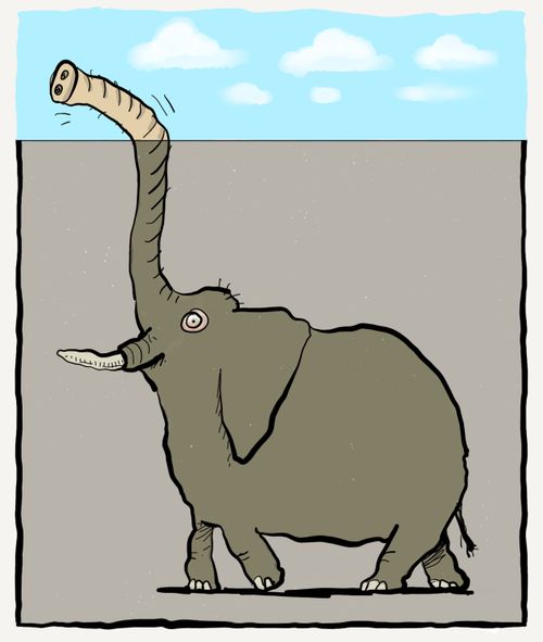Elephant seeking fresh air