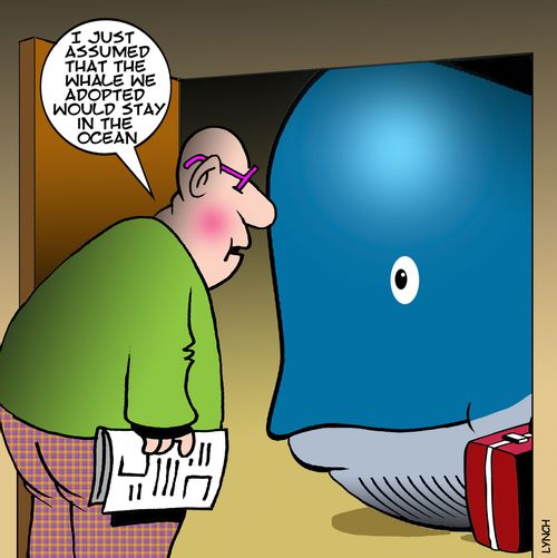 "I just assumed that the whale we adopted would stay in the ocean."