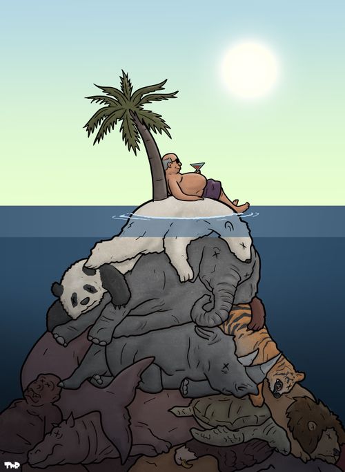 The Environmental Cost of Holidays