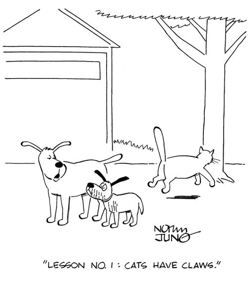 "Lesson no. 1: cats have claws."