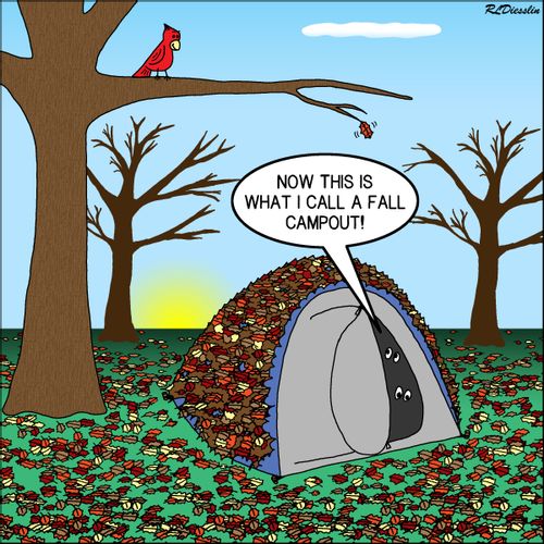 "Now this what I call a fall campout!"