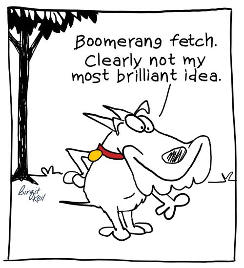 "Boomerang fetch. Clearly not my most brilliant idea."