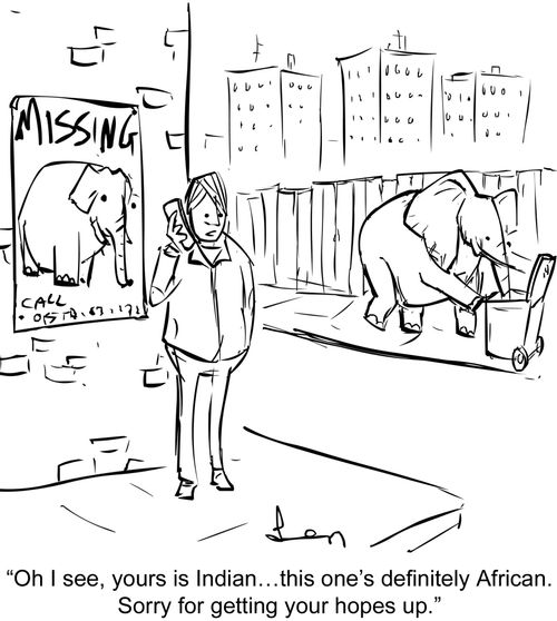 "Oh I see, yours is Indian...this one's definitely African. Sorry for getting your hopes up."