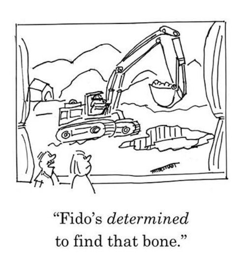 "Fido's determined to find that bone."