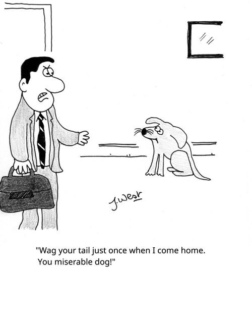 "Wag your tail just once when I come home. You miserable dog!"