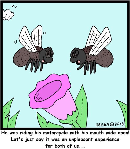 "He was riding his motorcycle with his mouth open! Let's just say it was an unpleasant experience for both of us..."