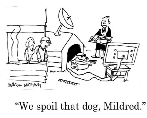 "We spoil that dog, Mildred."