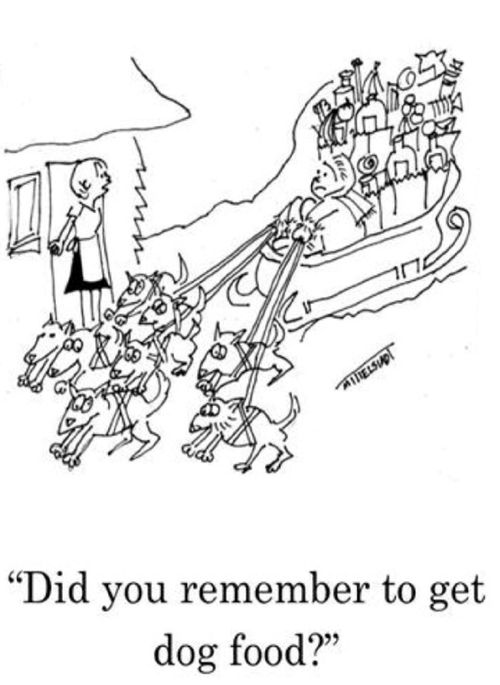 "Did you remember to get dog good?"