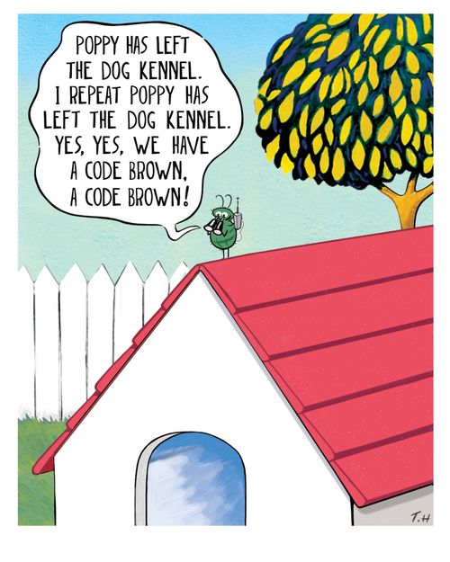 "Poppy has left the dog kennel. I repeat Poppy has left the dog kennel...Yes, yes, we have a code brown!"