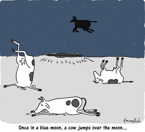 Once in a blue moon, a cow jumps over the moon. . .