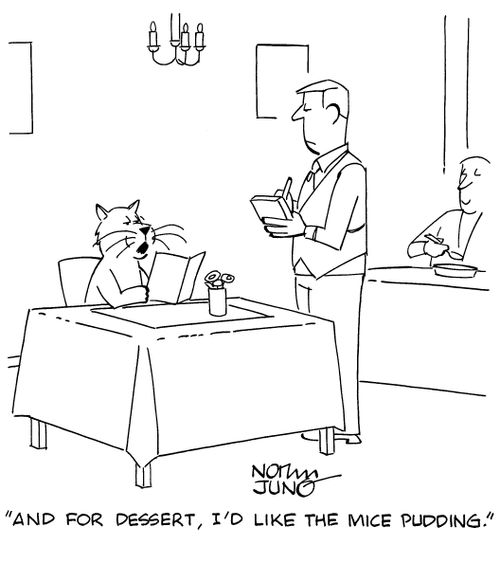 "And for dessert, I'd like the mice pudding."
