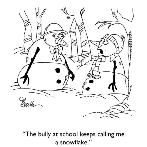 "The bully at school keeps calling me a snowflake."