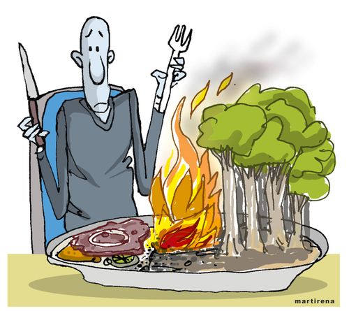 Forest Fires in the Amazon