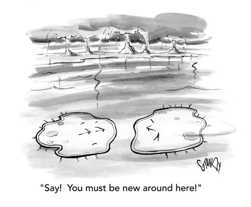 "Say! You must be new around here!"