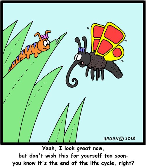 "Yeah, I look great now, but don't wish this for yourself too soon: you know it's the end of the life cycle, right?"