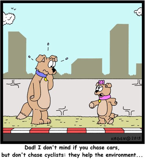 "Dad! I don't mind if you chase cars, but don't chase cyclists: they help the environment..."