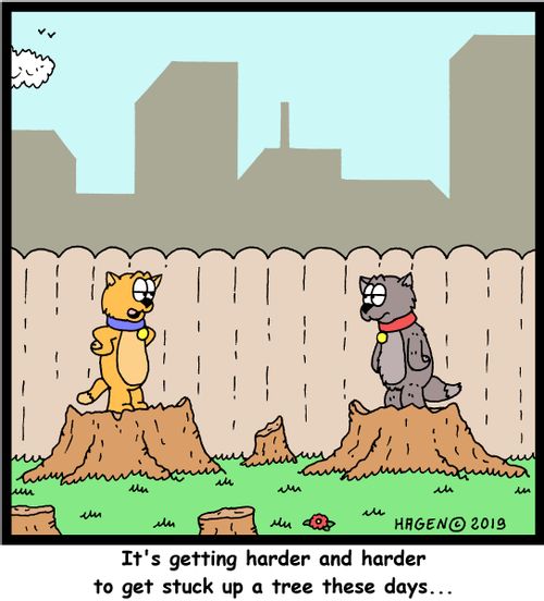 "It's getting harder and harder to get stuck up a tree these days..."