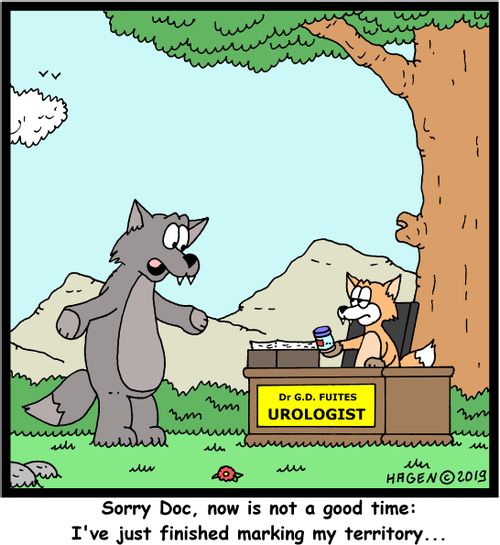 "Sorry Doc, now is not a good time: I've just finished marking my territory..."