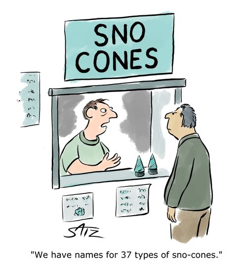 "We have names for 37 types of sno-cones.".
