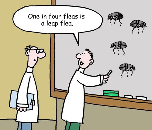 "One in four fleas is a leap flea."